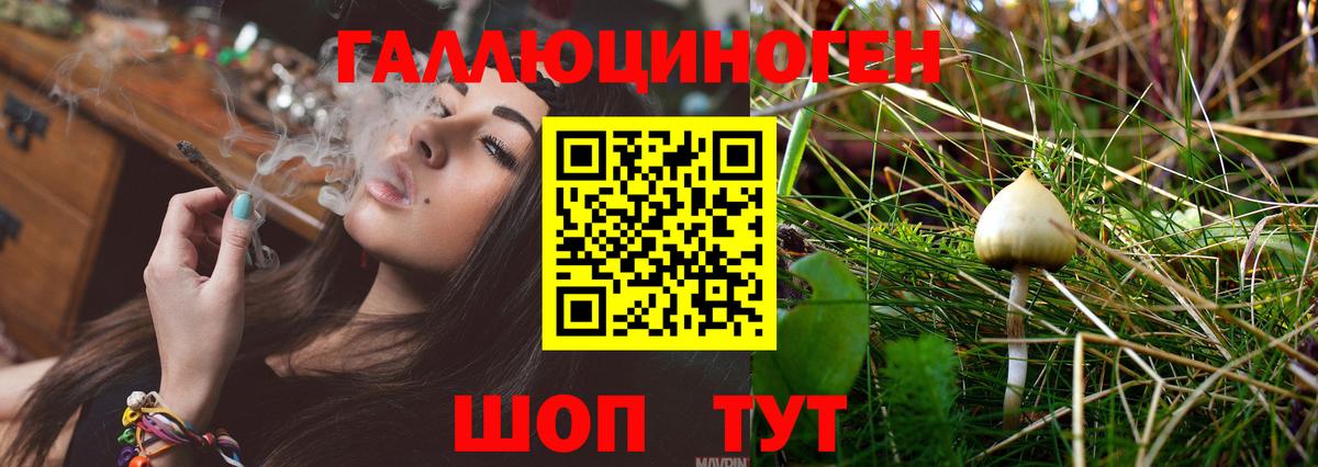 Галлюциногенные грибы прущие грибы  где продают   Псилоцибиновые грибы GOLDEN TEACHER  Анжеро-Судженск  Вход с VPN 