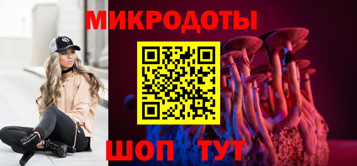 Галлюциногенные грибы Psilocybe Анжеро-Судженск